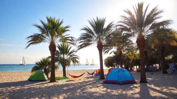 Top raisons de séjourner dans les campings d'île d'Oléron
